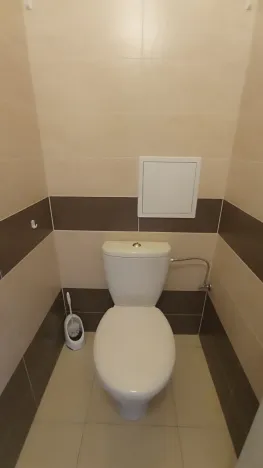 Pronájem bytu 3+kk, České Budějovice - České Budějovice 3, Riegrova, 70 m2