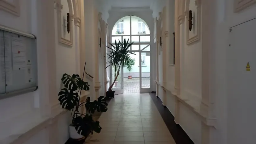 Pronájem bytu 3+kk, České Budějovice - České Budějovice 3, Riegrova, 70 m2