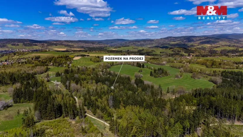 Prodej lesa, Železný Brod, 11203 m2