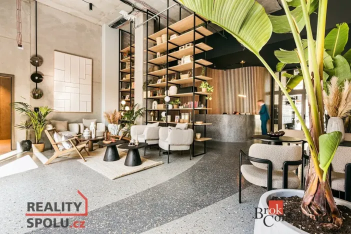 Pronájem bytu 1+kk, Brno - Zábrdovice, Bratislavská, 24 m2