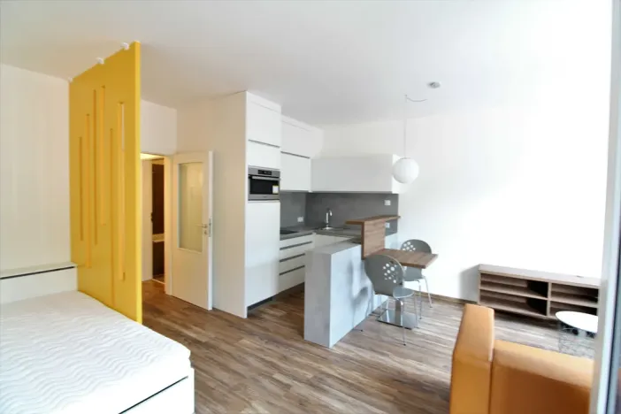 Pronájem bytu 1+kk, Praha - Vysočany, Za Krejcárkem, 36 m2