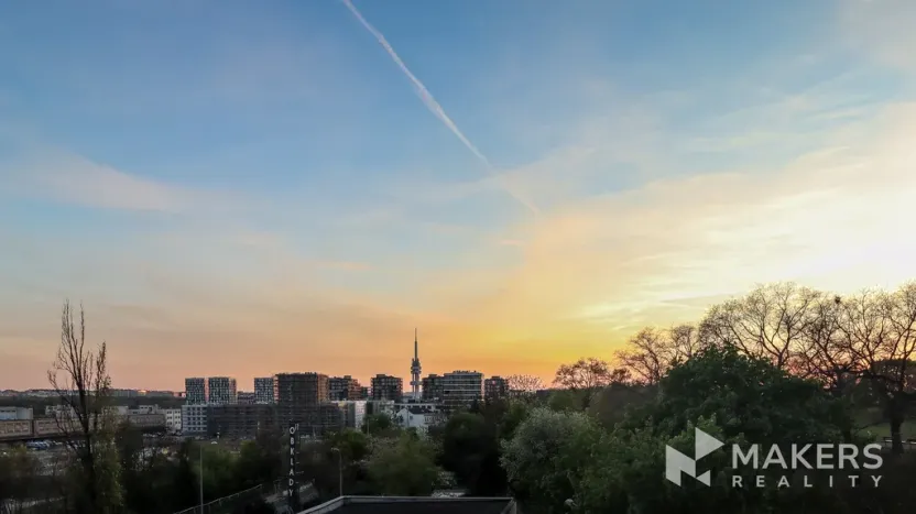 Prodej bytu 1+kk, Praha - Žižkov, Olgy Havlové, 37 m2