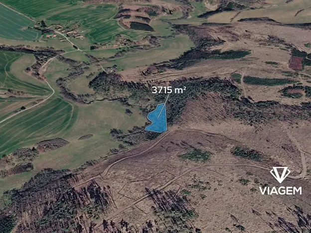 Prodej lesa, Vlašim, 3715 m2