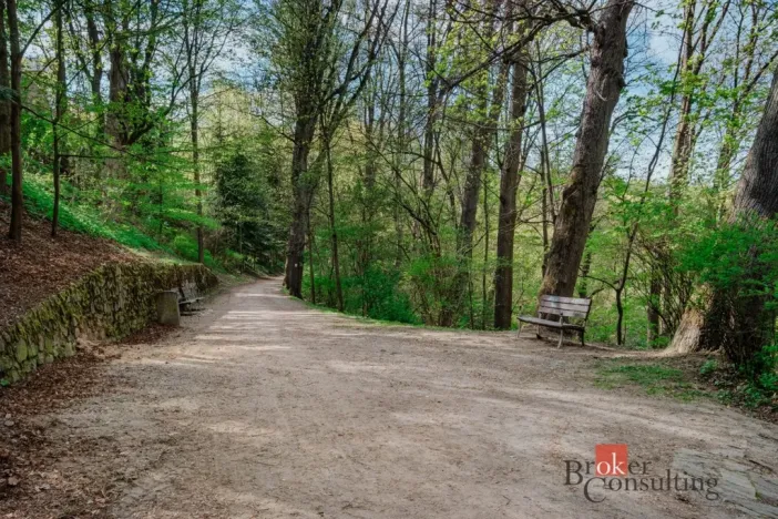 Prodej bytu 2+kk, Jihlava, Březinovy sady, 48 m2