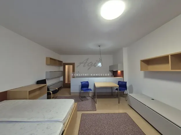Pronájem bytu 1+kk, Brno, 56 m2