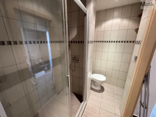 Pronájem bytu 1+1, Most, Žatecká, 37 m2