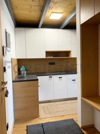 Pronájem bytu 2+kk, Brno, Kamenná, 54 m2