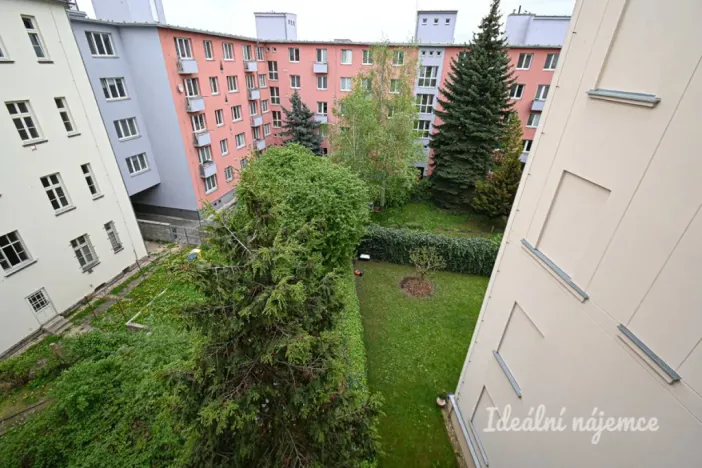 Pronájem bytu 2+1, Brno, Úvoz, 75 m2