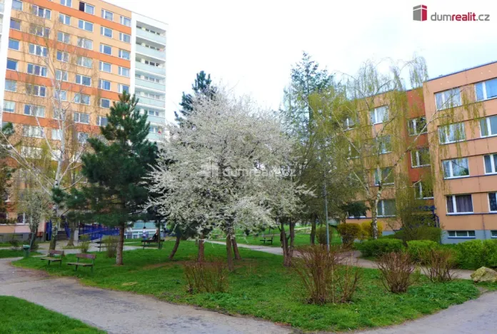 Pronájem bytu 4+kk, Praha - Chodov, Vejvanovského, 84 m2