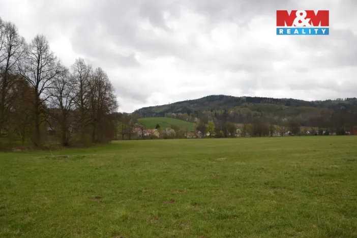 Prodej louky, Náchod - Běloves, 20495 m2