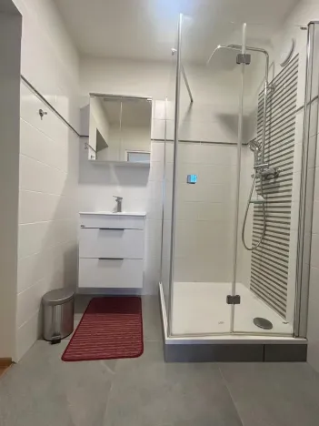 Pronájem bytu 4+1, Praha - Černý Most, Anderleho, 104 m2