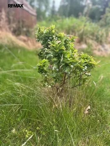 Prodej rodinného domu, Čistá, Tyršova, 130 m2