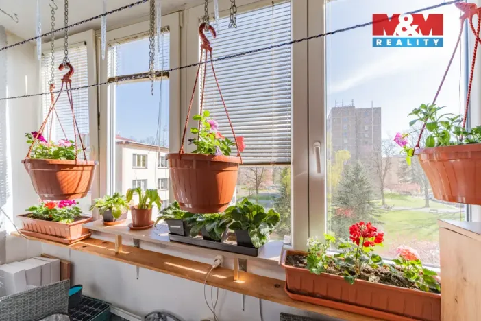 Prodej bytu 3+1, Cheb, Lomená, 60 m2