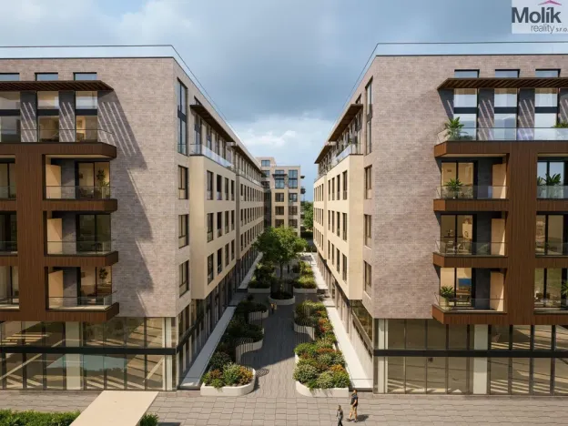 Prodej bytu 2+kk, Golem, 50 m2