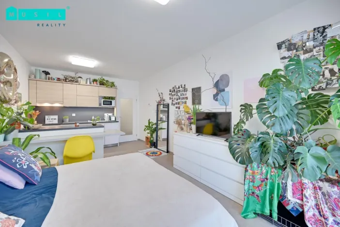 Pronájem bytu 1+kk, Olomouc - Nové Sady, Rokycanova, 37 m2