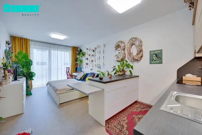 Pronájem bytu 1+kk, Olomouc - Nové Sady, Rokycanova, 37 m2