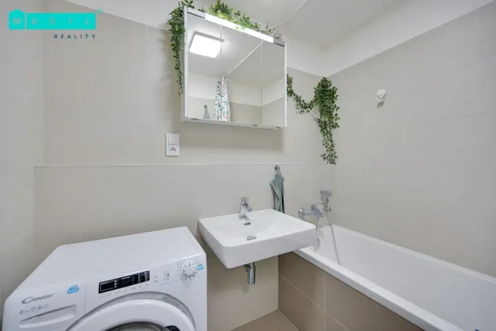 Pronájem bytu 1+kk, Olomouc - Nové Sady, Rokycanova, 37 m2