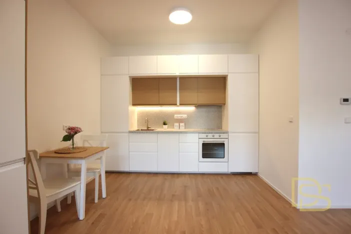 Pronájem bytu 2+kk, Brno - Brno-město, Jezuitská, 41 m2