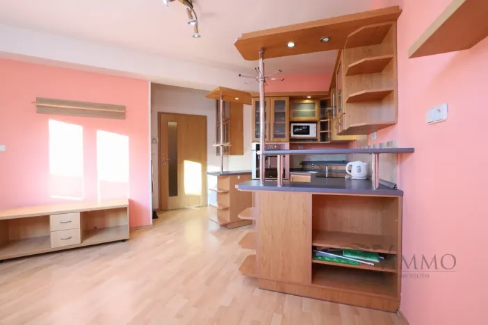 Pronájem bytu 1+kk, České Budějovice - České Budějovice 6, Rudolfovská tř., 35 m2