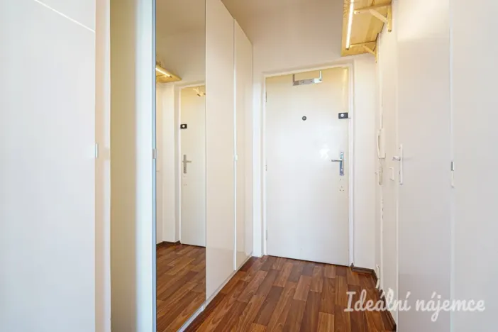 Pronájem bytu 1+kk, Brno, Halasovo náměstí, 20 m2