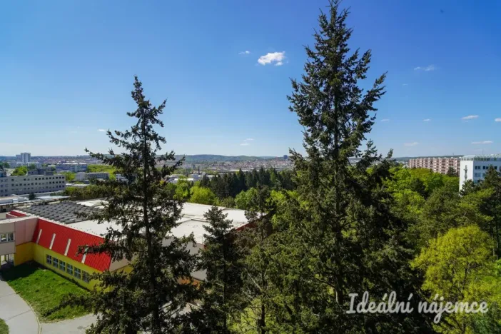 Pronájem bytu 1+kk, Brno, Halasovo náměstí, 20 m2