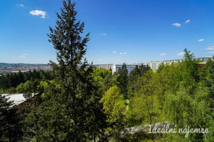 Pronájem bytu 1+kk, Brno, Halasovo náměstí, 20 m2