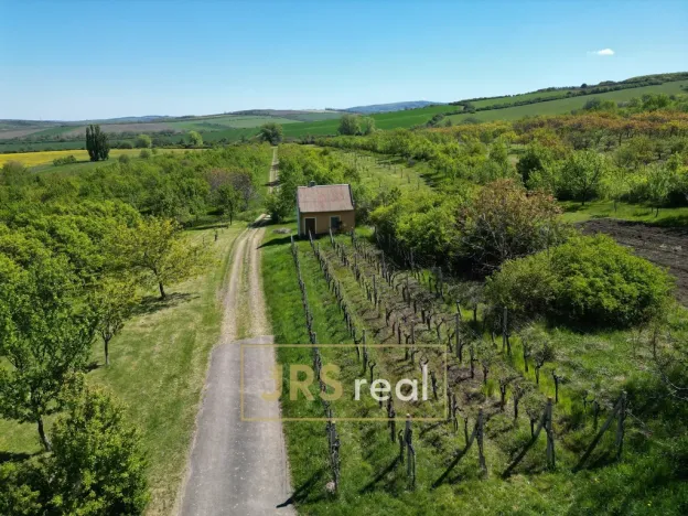 Prodej pozemku, Hroznová Lhota, 2997 m2