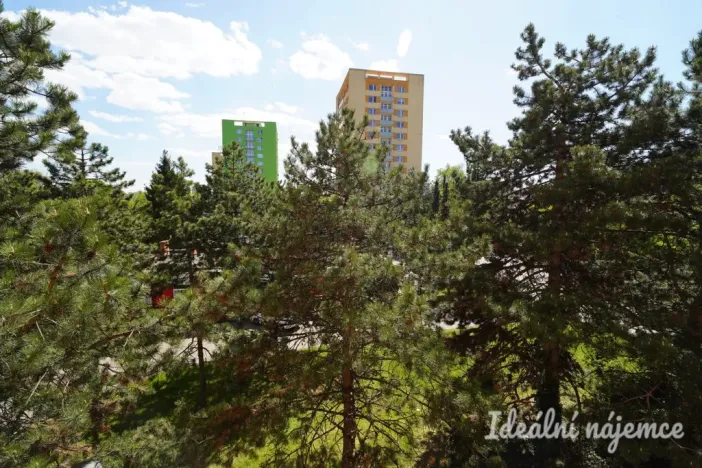 Pronájem bytu 1+1, Brno - Řečkovice, Žitná, 28 m2