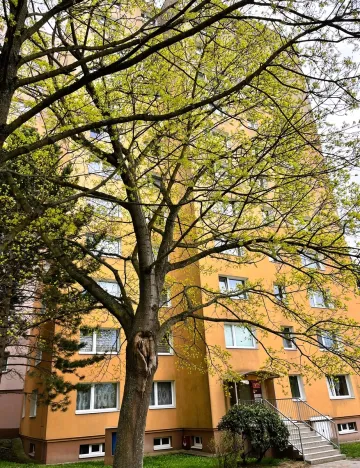 Prodej bytu 1+1, Liberec - Liberec XIV-Ruprechtice, Borový vrch, 39 m2