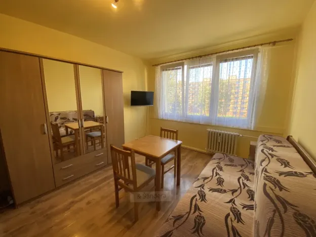 Pronájem bytu 1+kk, České Budějovice - České Budějovice 3, Puklicova, 20 m2