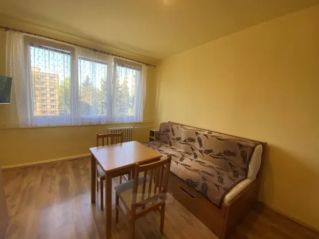 Pronájem bytu 1+kk, České Budějovice - České Budějovice 3, Puklicova, 20 m2