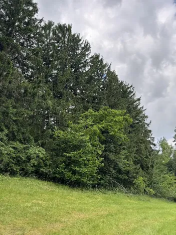 Prodej pozemku, Český Dub, 19364 m2