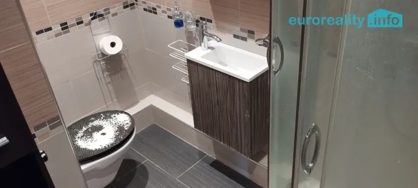 Pronájem bytu 1+1, Cheb, Mírová, 38 m2