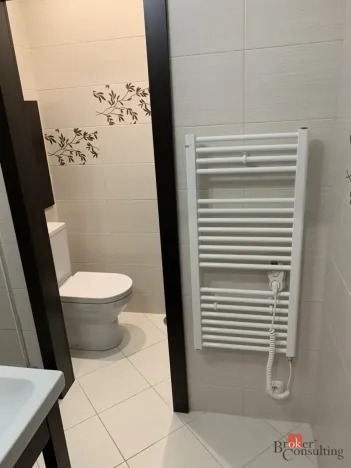 Pronájem bytu 1+kk, Ostrava - Moravská Ostrava, Gen. Píky, 26 m2