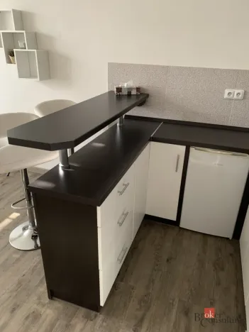 Pronájem bytu 1+kk, Ostrava - Moravská Ostrava, Gen. Píky, 26 m2