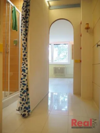 Pronájem bytu 1+kk, Brno - Komín, Součkova, 28 m2