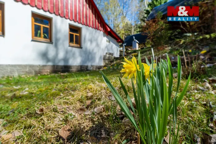 Prodej chalupy, Tanvald - Šumburk nad Desnou, 118 m2