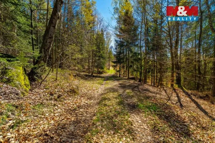 Prodej chalupy, Tanvald - Šumburk nad Desnou, 118 m2