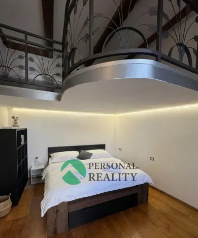 Pronájem ubytování, Praha - Karlín, Křižíkova, 540 m2