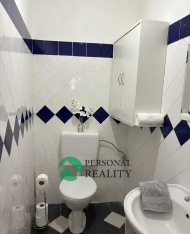 Pronájem ubytování, Praha - Karlín, Křižíkova, 540 m2