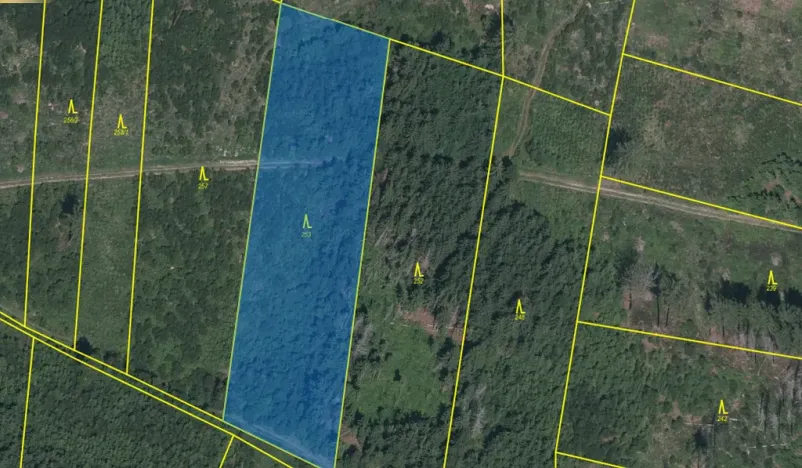 Prodej lesa, Kolinec - Buršice, 5195 m2
