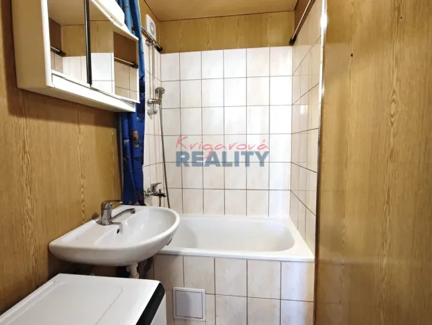 Pronájem bytu 1+1, České Budějovice - České Budějovice 2, Krčínova, 47 m2