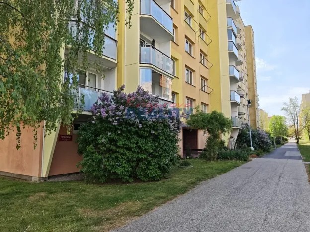 Pronájem bytu 1+1, České Budějovice - České Budějovice 2, Krčínova, 47 m2