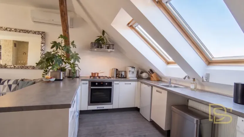 Pronájem bytu 1+kk, Brno - Veveří, Veveří, 48 m2