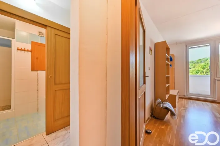 Pronájem bytu 1+1, Brno - Žabovřesky, Vychodilova, 42 m2