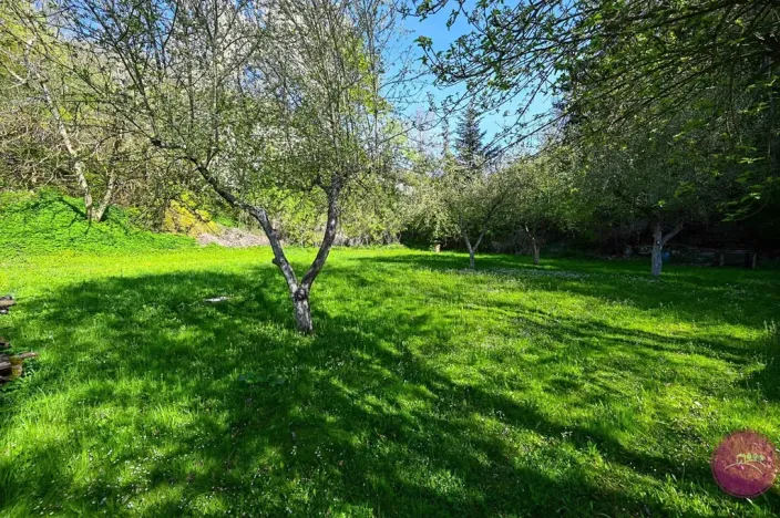 Prodej zahrady, Mírov, 2114 m2