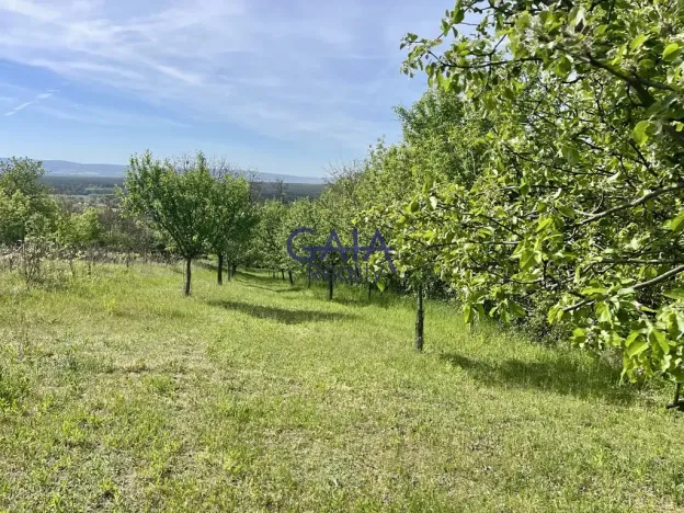 Prodej zahrady, Bzenec, 4488 m2