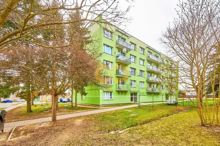 Prodej bytu 2+1, Vodňany, Smetanova, 60 m2