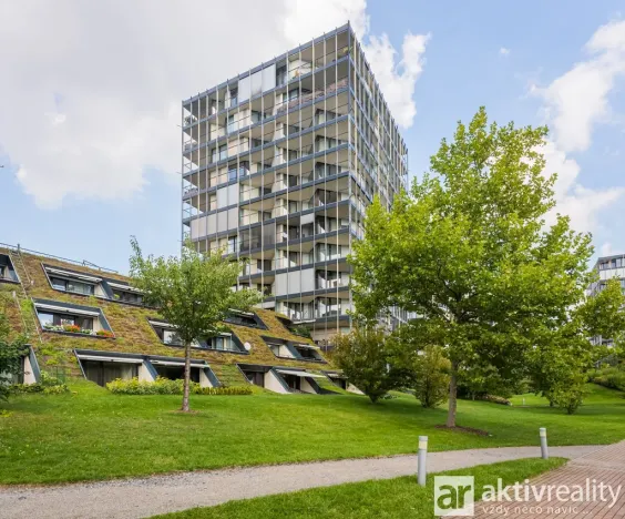 Pronájem bytu 1+kk, Praha - Žižkov, Pitterova, 38 m2