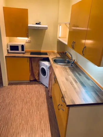 Pronájem bytu 1+kk, Praha - Holešovice, U Pergamenky, 28 m2